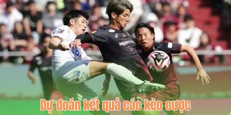 Dự đoán kết quả các kèo cược